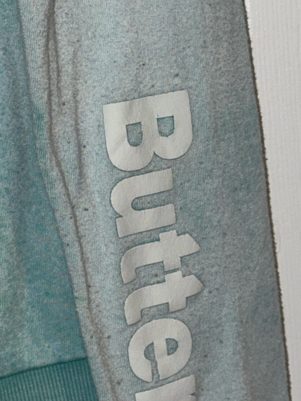 Butter Super Soft Rhinestone French Bulldog Zip Hoodie XL Aqua Dog Graphic - Picture 8 of 8